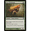 Magic: The Gathering Naya Battlemage (142) Lightly Played