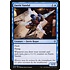 Magic: The Gathering Faerie Vandal (045) Near Mint