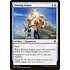 Magic: The Gathering Shining Armor (029) Near Mint