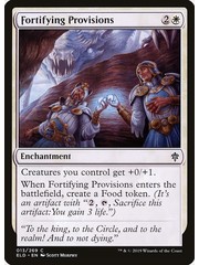 Magic: The Gathering Fortifying Provisions (013) Near Mint