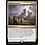Magic: The Gathering Doom Foretold (187) Lightly Played