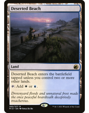 Magic: The Gathering Deserted Beach (260) Lightly Played Foil
