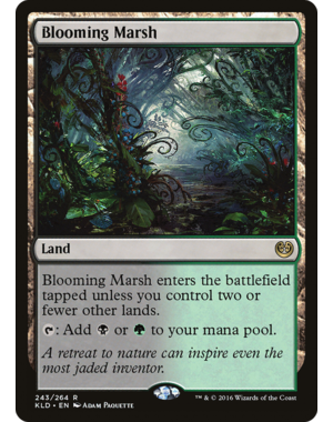 Magic: The Gathering Blooming Marsh (243) Lightly Played
