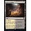 Magic: The Gathering Caves of Koilos (244) Lightly Played Foil