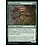 Magic: The Gathering Territorial Maro (184) Lightly Played Foil