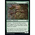 Magic: The Gathering Territorial Maro (184) Lightly Played Foil