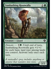 Magic: The Gathering Sunbathing Rootwalla (181) Lightly Played Foil