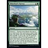 Magic: The Gathering Slimefoot's Survey (178) Lightly Played Foil