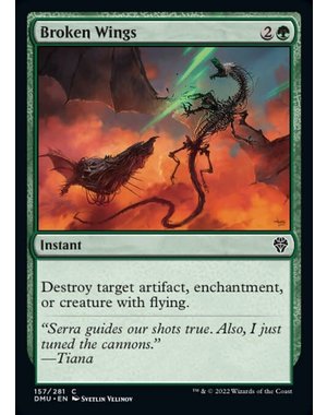 Magic: The Gathering Broken Wings (157) Lightly Played Foil