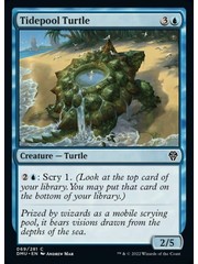Magic: The Gathering Tidepool Turtle (069) Lightly Played Foil