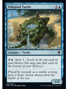 Magic: The Gathering Tidepool Turtle (069) Lightly Played Foil