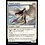 Magic: The Gathering Shalai's Acolyte (033) Lightly Played Foil