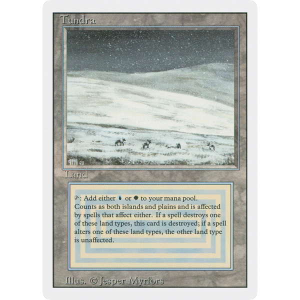 Magic: The Gathering Tundra (289) Heavily Played