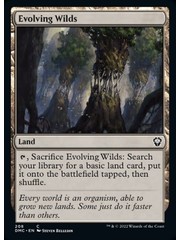 Magic: The Gathering Evolving Wilds (208) Near Mint