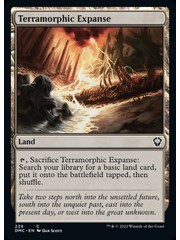 Magic: The Gathering Terramorphic Expanse (239) Near Mint