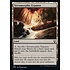 Magic: The Gathering Terramorphic Expanse (239) Near Mint