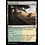 Magic: The Gathering Krosan Verge (216) Near Mint