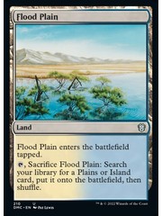 Magic: The Gathering Flood Plain (210) Near Mint