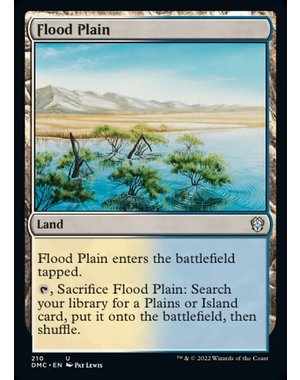 Magic: The Gathering Flood Plain (210) Near Mint