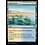 Magic: The Gathering Flood Plain (210) Near Mint