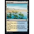 Magic: The Gathering Flood Plain (210) Near Mint