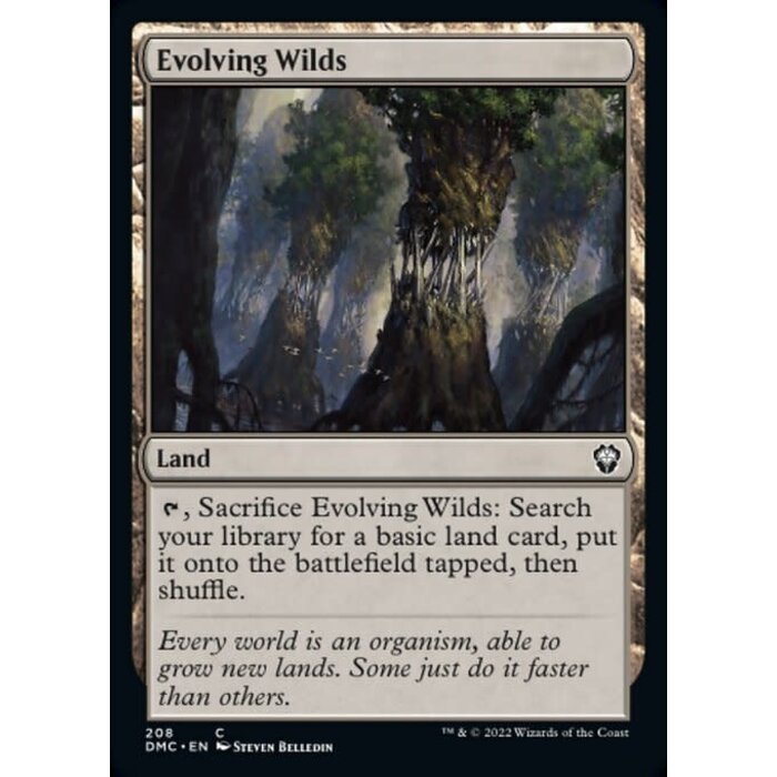 Magic: The Gathering Evolving Wilds (208) Near Mint