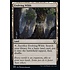 Magic: The Gathering Evolving Wilds (208) Near Mint