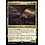 Magic: The Gathering Chromanticore (146) Near Mint