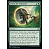 Magic: The Gathering Search for Tomorrow (137) Near Mint