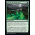 Magic: The Gathering Path to the World Tree (136) Near Mint