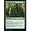 Magic: The Gathering Abundant Growth (128) Near Mint