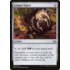 Magic: The Gathering Golgari Signet (220) Lightly Played
