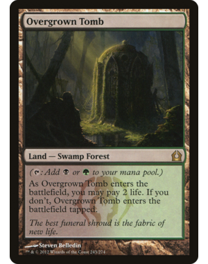Magic: The Gathering Overgrown Tomb (243) Lightly Played
