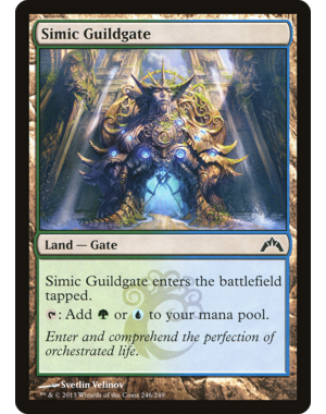 Magic: The Gathering Simic Guildgate (246) Lightly Played