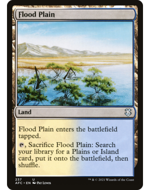 Magic: The Gathering Flood Plain (237) Lightly Played