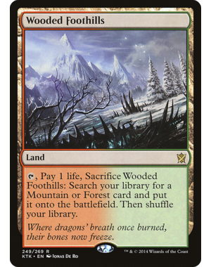 Magic: The Gathering Wooded Foothills (249) Moderately Played