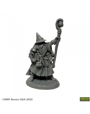 Reaper Miniatures Reaper 07008: Luwin Phost Wizard Bones Plastic Miniature