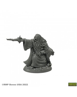 Reaper Miniatures Reaper 07030: Erebus Nalas Evil Sorcerer Bones Plastic Miniature