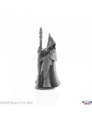 Reaper Miniatures Reaper 30027: Anirion Elf Wizard Bones Plastic Miniature