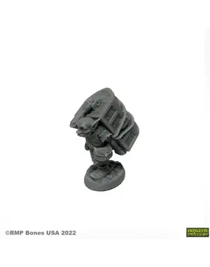 Reaper Miniatures Reaper 07072: Murk Goblin Henchman Bones Plastic Miniature