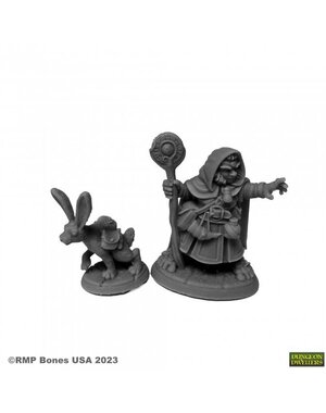 Reaper Miniatures Reaper 07096: Hollis Grayheath and Verbena Bones Plastic Miniature
