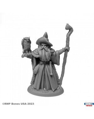 Reaper Miniatures Reaper 30129: Amathor the Arch-Mage Bones Plastic Miniature