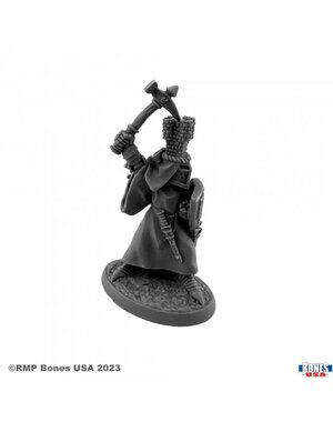 Reaper Miniatures Reaper 30152: Sir Roland the Grey Bones Plastic Miniature