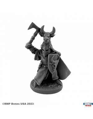 Reaper Miniatures Reaper 30151: Sir Guy the Red Bones Plastic Miniature
