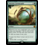 Magic: The Gathering Ancient Cornucopia (016) Lightly Played