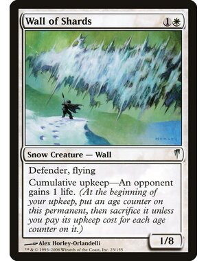 Magic: The Gathering Wall of Shards (023) Moderately Played