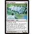 Magic: The Gathering Wall of Shards (023) Moderately Played