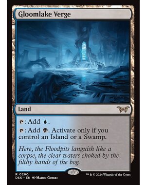 Magic: The Gathering Gloomlake Verge (260) Lightly Played