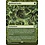 Magic: The Gathering Hardened Scales (055) Lightly Played