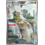 Pokemon Fraxure (077) Near Mint Holofoil